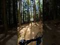 M & O Trails Pt. 2 - Snowshoe, WV #mtb #cycling #snowshoewv #westvirginia
