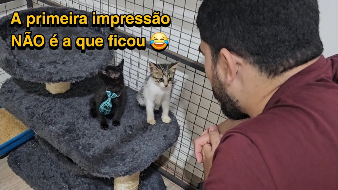 OS NOVOS INQUILINOS  !!