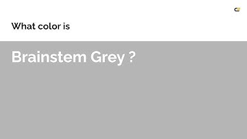 Brainstem Grey color #b5b5b5 hex color - Grey color - Cool color b5b5b5