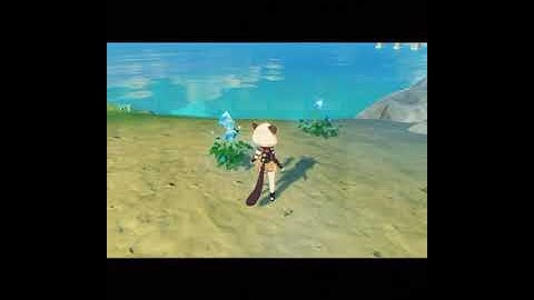 Empty Parametric Transformer Bug | Genshin Impact |