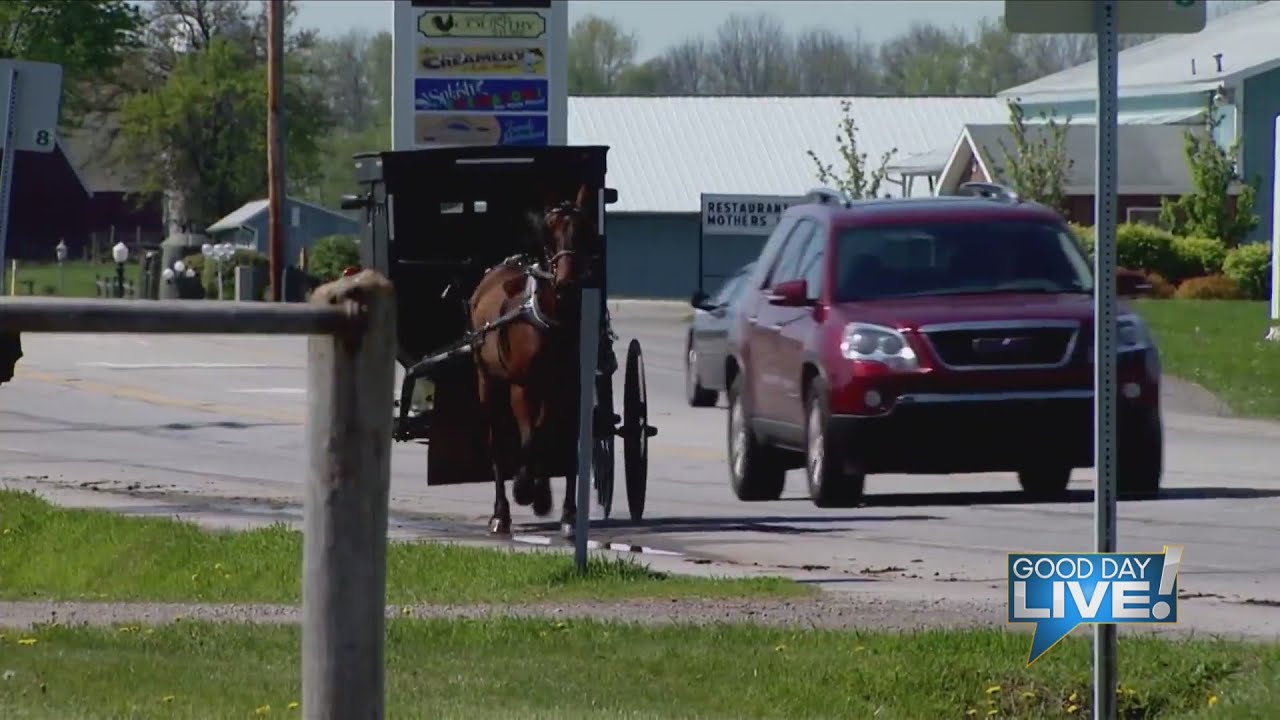 Good Day Live On location in Arcola IL Amish Heritage Center