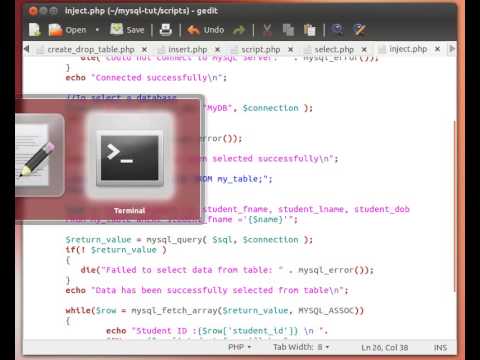 MySQL from a PHP Script 7/8: A Word on SQL Injection