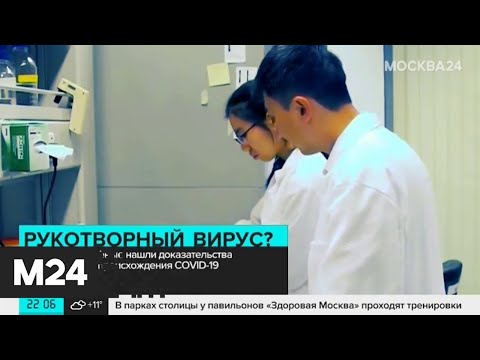 В Европе "доказали", что SARS-Cov-2 "родился" в лаборатории Уханя - Москва 24