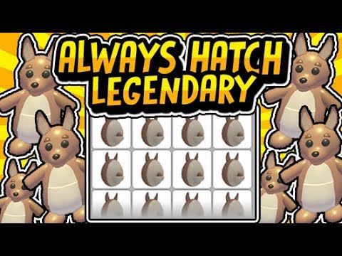Always Hatch A Legendary Pet From Egg In Adopt Me Adopt Me Working Hack Glitch June 2020 Roblox Youtube - omfg roblox hackscript dragon keeper hack get legendary eggs gold and much more