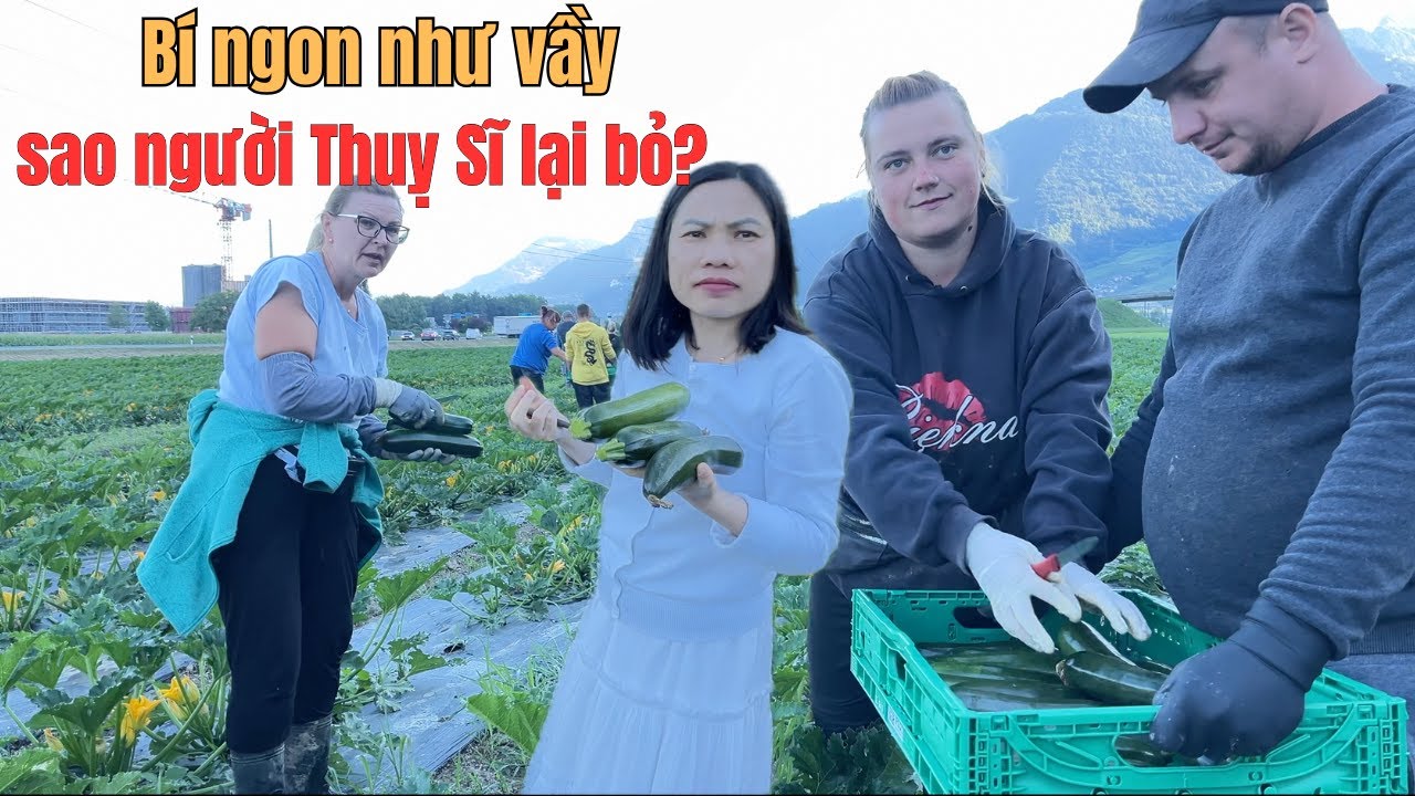 Thì ra người Thuỵ Sĩ chỉ  ăn bí như thế này