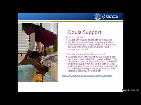 Webinar: Doula 101: Healthy and Joyous Births Take a Village