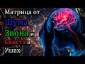 🎧 20 звуков против шума, звона и свиста в голове и ушах. Остановите свой ТИНИТУС