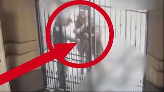 СМЕЕТСЯ ВЕСЬ МИР - ТЦК  не умеют открывать двери не догнали мужчину