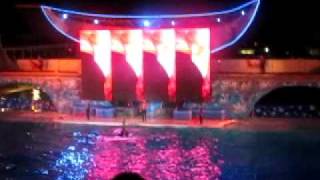 Shamu show