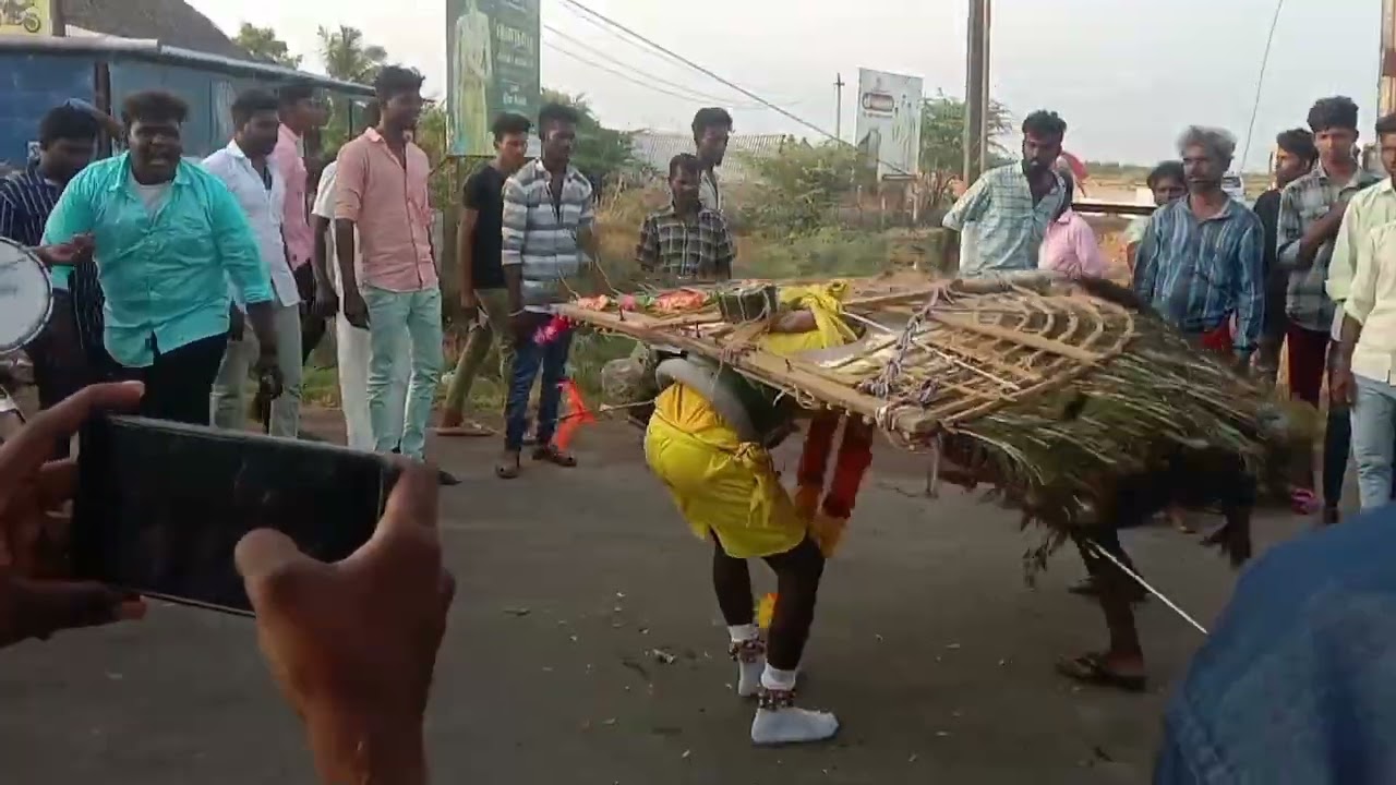 ஸ்ரீ முள்ளாட்சி மாரியம்மன் கோவில்  திருவிழா திருத்துறைப்பூண்டி