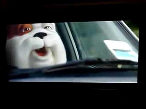 Churchill Insurance Dog - Finally Swears