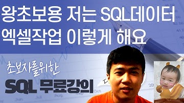 왕초보용 저는 SQL데이터 엑셀작업 이렇게 해요 - SQL부터 엑셀까지 데이터 분석 기초 활용 영상