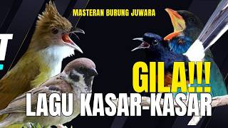 MASTERAN MEWAH TEMBAKAN KASAR!! KASARAN & JERITAN - CUNGKOK PIJANTUNG SAMPIT KAPAS TEMBAK