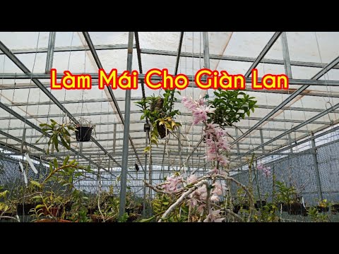 Chia Sẻ Cách Làm Mái Cho Giàn Lan | Foci