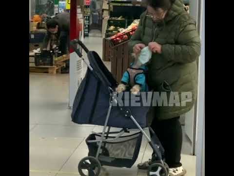 Бабушка надела маску на собаку в супермаркете. Курьезное видео