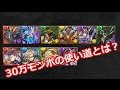 パズドラ 30万モンスターポイントの使い道解説