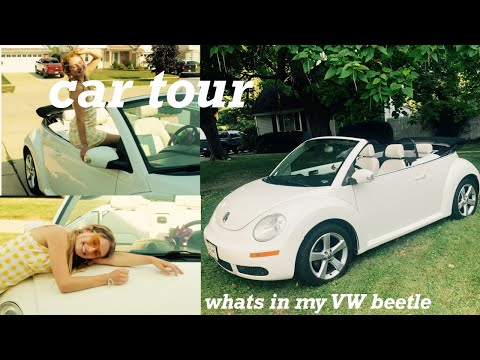 whats in my
