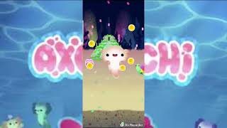 Découverte d'un jeu kawaii sur mobile screenshot 5