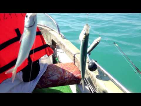 ловля морской сельди