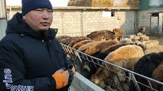 видео: СОЗ ЖОК ПРОСТО. НАРЫН,АТ БАШЫ, 1- БОЛУК. Мирлан таксырдын короосу. картинка: СОЗ ЖОК ПРОСТО. НАРЫН,АТ БАШЫ, 1- БОЛУК. Мирлан таксырдын короосу.