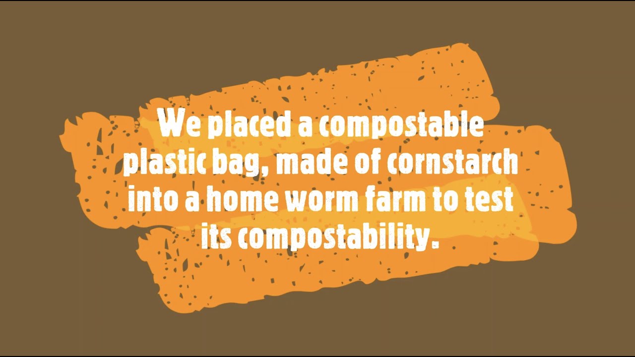 Do compostable bags really breakdown? YouTube