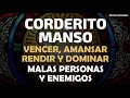 Corderito Manso, oración para vencer, amansar, rendir y dominar, malas personas y enemigos