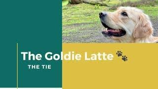 The Tie  - Golden Retriever Mating Process