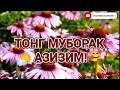 Suyunbek Kuchkarov - Tong muborak azizim!🥰