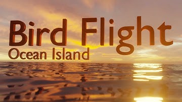 Blender Animation - Bird Flight