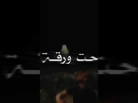 تخيل شجره بيها اوراق عراقيي بطئ 2021 تصاميم فايزر 