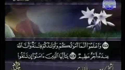 Sheikh Saad Al-Ghamidi: Sura Al-Anfal. سعد الغامدي: سورة الانفال