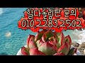 26.05.25.힐다님 돌림판010.2283.2502)문의