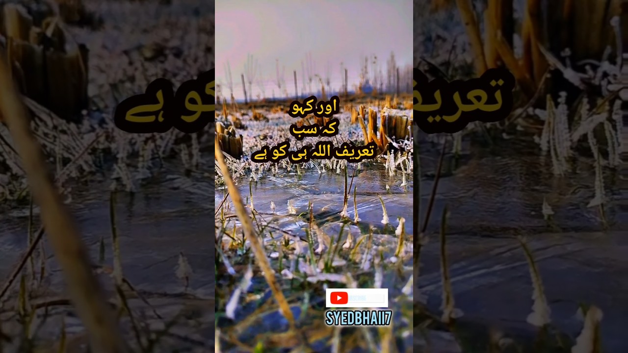 Chill morning kashmir ♥️♥️🥶