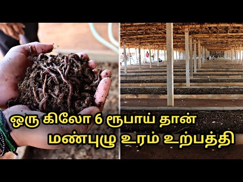 மண்புழு உரம் உற்பத்தி செய்வது எப்படி || how to make vermicompost || types of composting worms