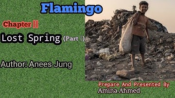 Lost Spring (Part I) | Flamingo | Prose Section | HS 2nd year | English to Assamese Translation |