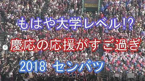 慶応高 チア