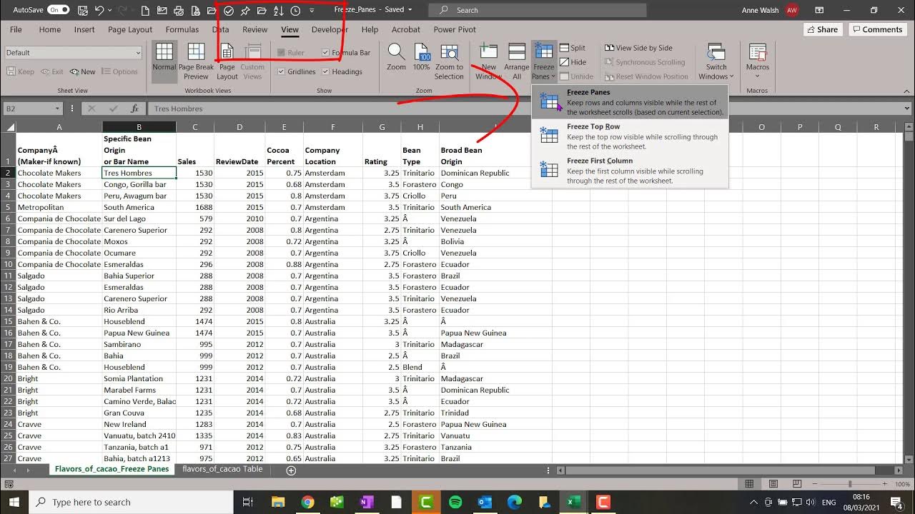How to keep the top row visible in large data set in Excel YouTube