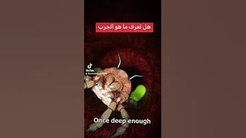 تعرف على الجرب 