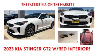 2023 GT2 Kia Stinger With Red Interior review! The Sexiest Kia of the Year!