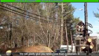 Best Tree Service In Roswell Ga. Roswell Tree Care Service