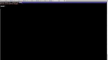 OpenWhisk Debugger