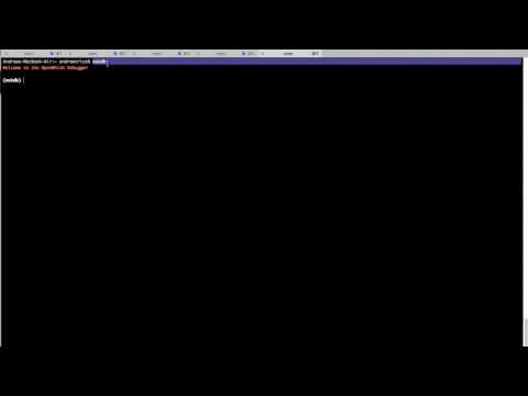 OpenWhisk Debugger