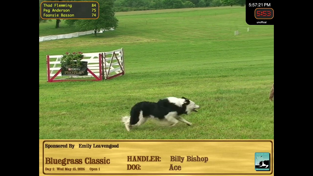 Billy Bishop Ace Run Open 1