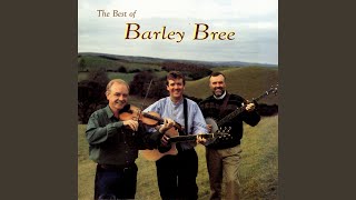 Video thumbnail of "Barley Bree - Paddy On The Railway"