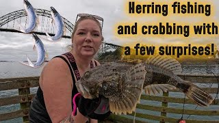 I went herring fishing, crabbing, caught a sculpin fish and a bunch of black bass off Newport dock!
