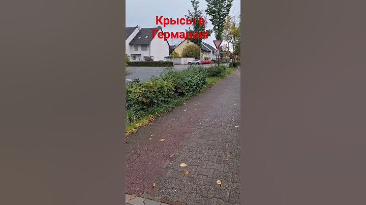 Крысы в Германии рядом с детским садом! А руководству города ВСЁ РАВНО!