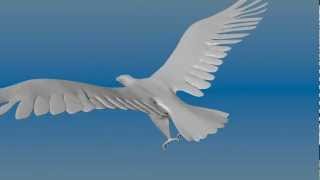 Aguila screenshot 5