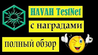 Полный обзор на публичный поощрительный Havah testnet  Не стоит пропускать