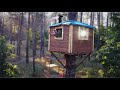 Building a 5m tree house in a wild forest part 2