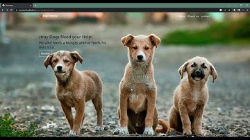 #TASK3- Payment Gateway integration, web development intern at the sparks foundation